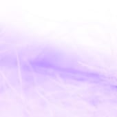 紫の羽
